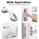 Ultra-resistant grab bar