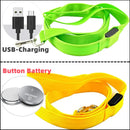 LED Guide for Night Tours