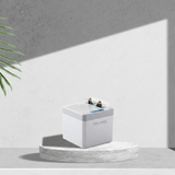 Automatic Toothpick with Sensor