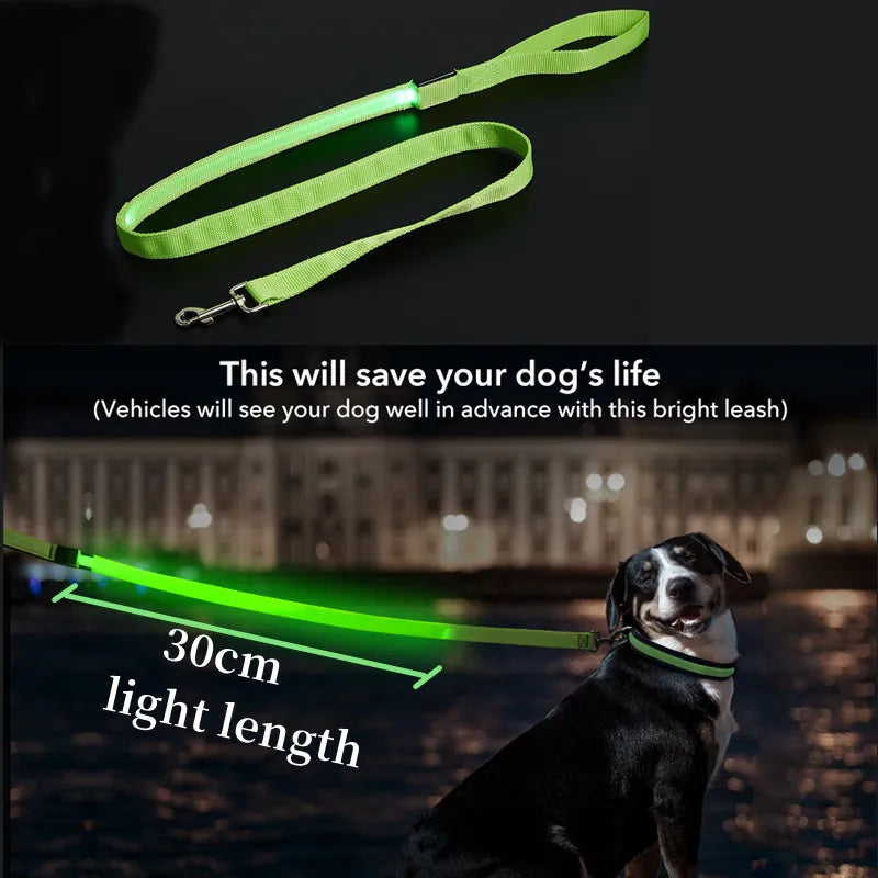 LED Guide for Night Tours