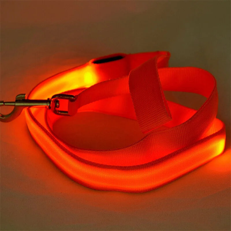 LED Guide for Night Tours