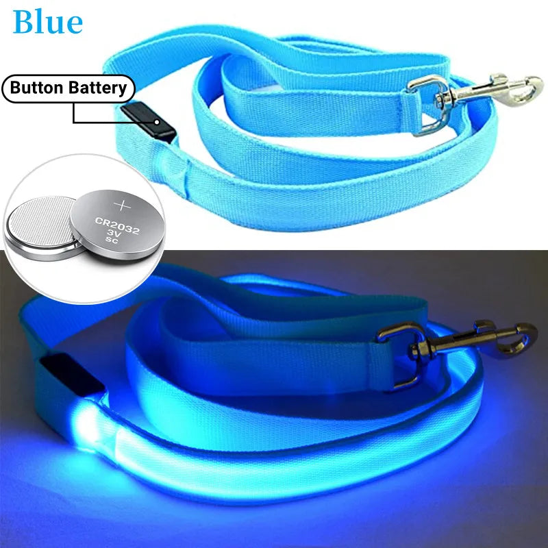 LED Guide for Night Tours
