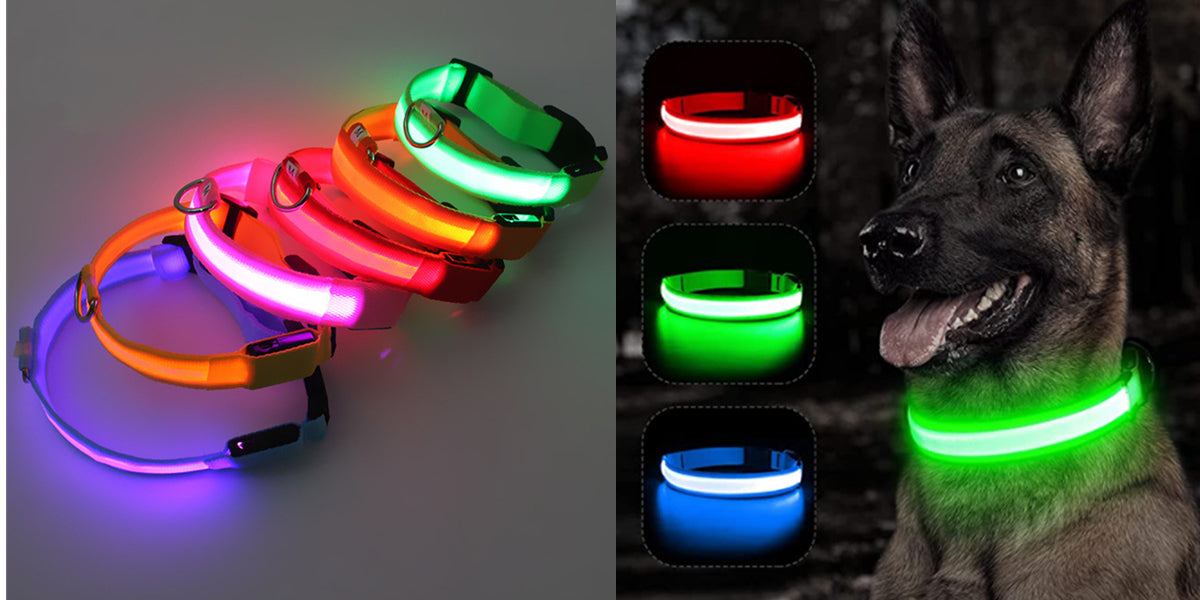 LED Guide for Night Tours
