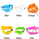 LED Guide for Night Tours