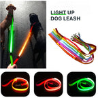 LED Guide for Night Tours