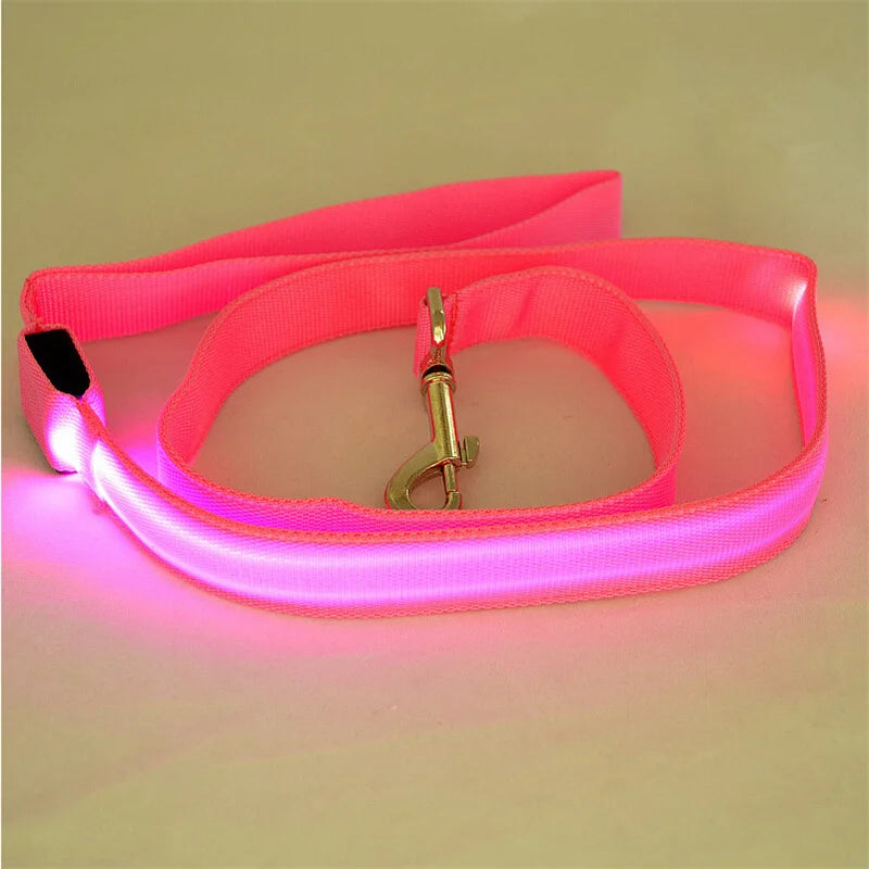 LED Guide for Night Tours