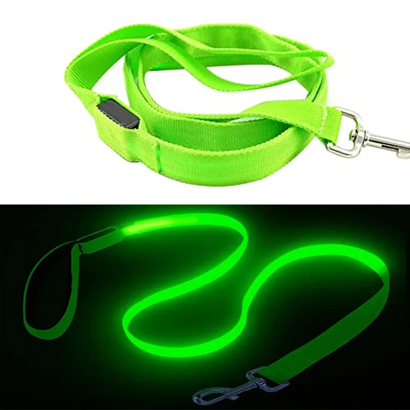LED Guide for Night Tours