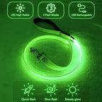LED Guide for Night Tours