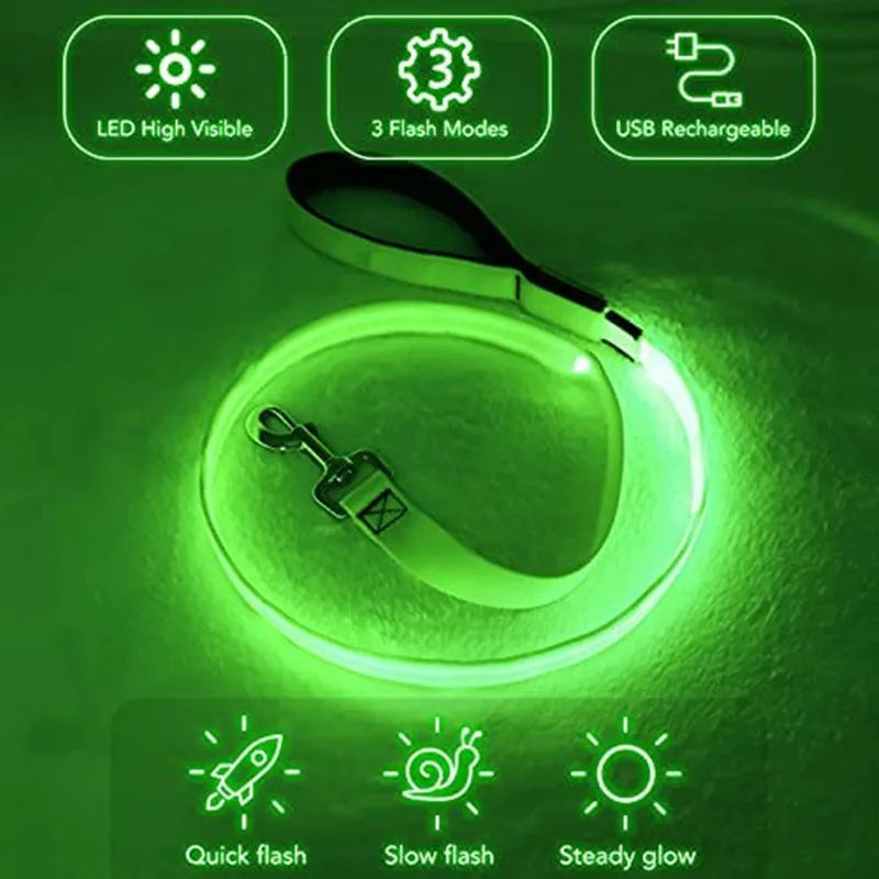 LED Guide for Night Tours