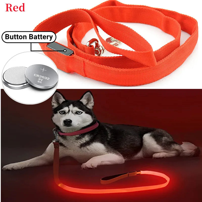 LED Guide for Night Tours