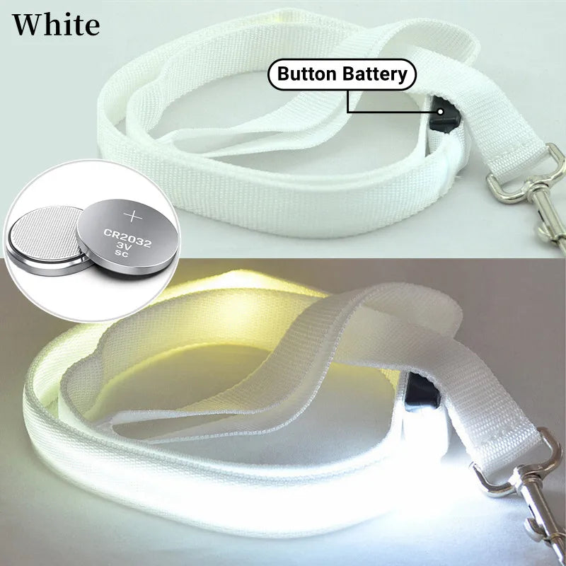 LED Guide for Night Tours