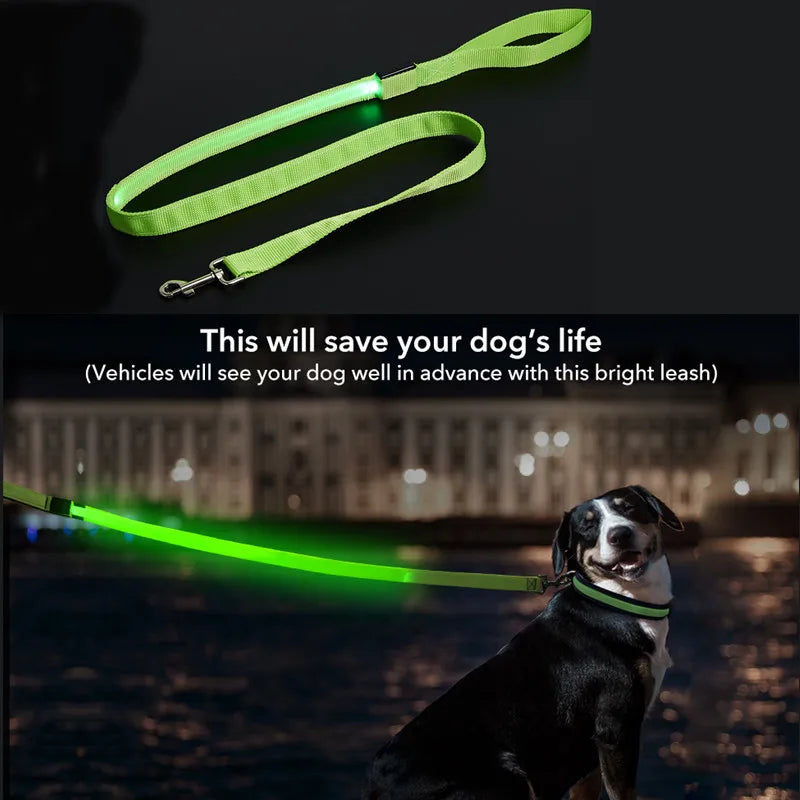 LED Guide for Night Tours