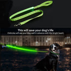 LED Guide for Night Tours