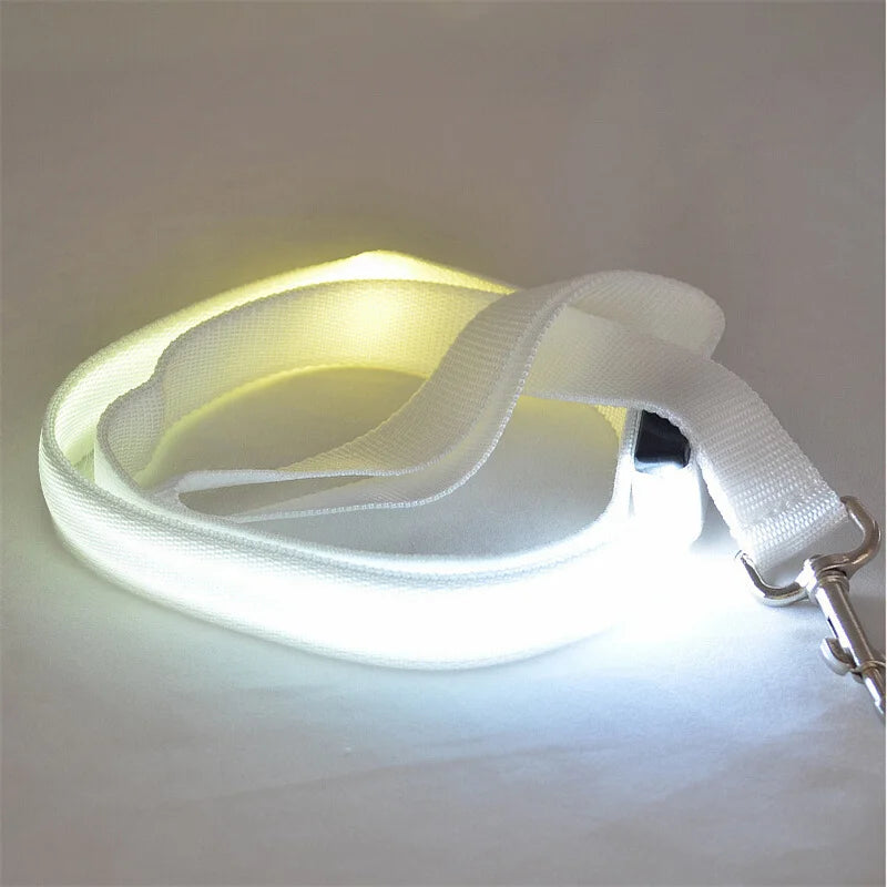 LED Guide for Night Tours