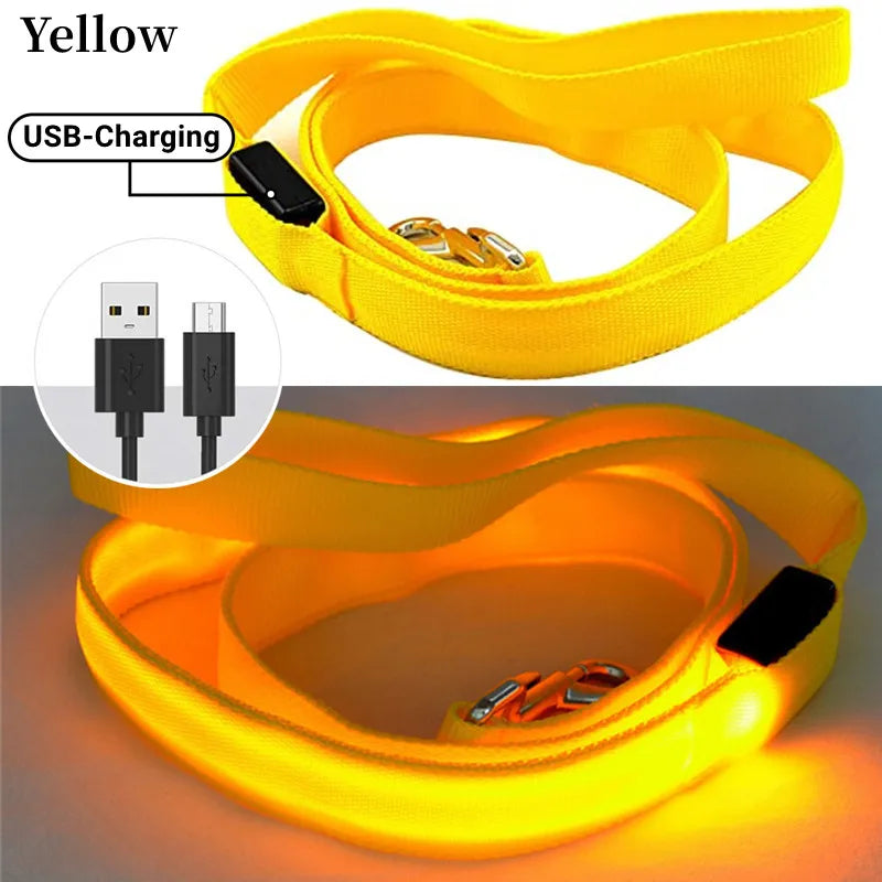 LED Guide for Night Tours