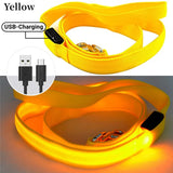 LED Guide for Night Tours