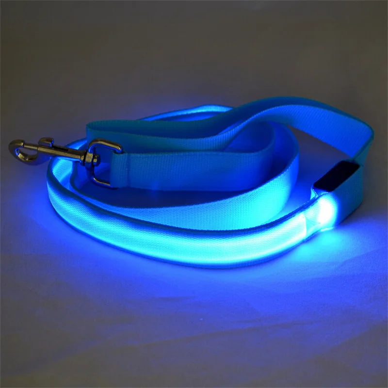LED Guide for Night Tours