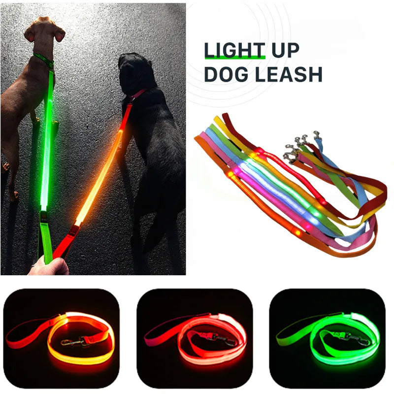 LED Guide for Night Tours