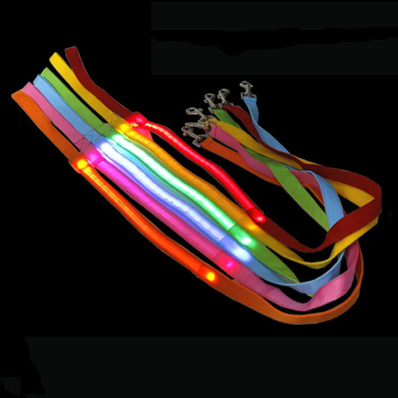 LED Guide for Night Tours