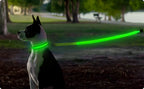 LED Guide for Night Tours