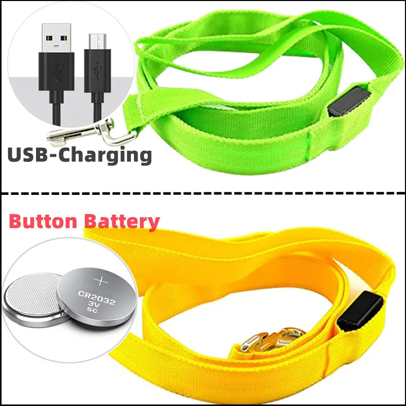 LED Guide for Night Tours