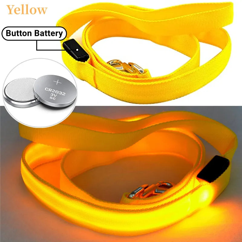 LED Guide for Night Tours