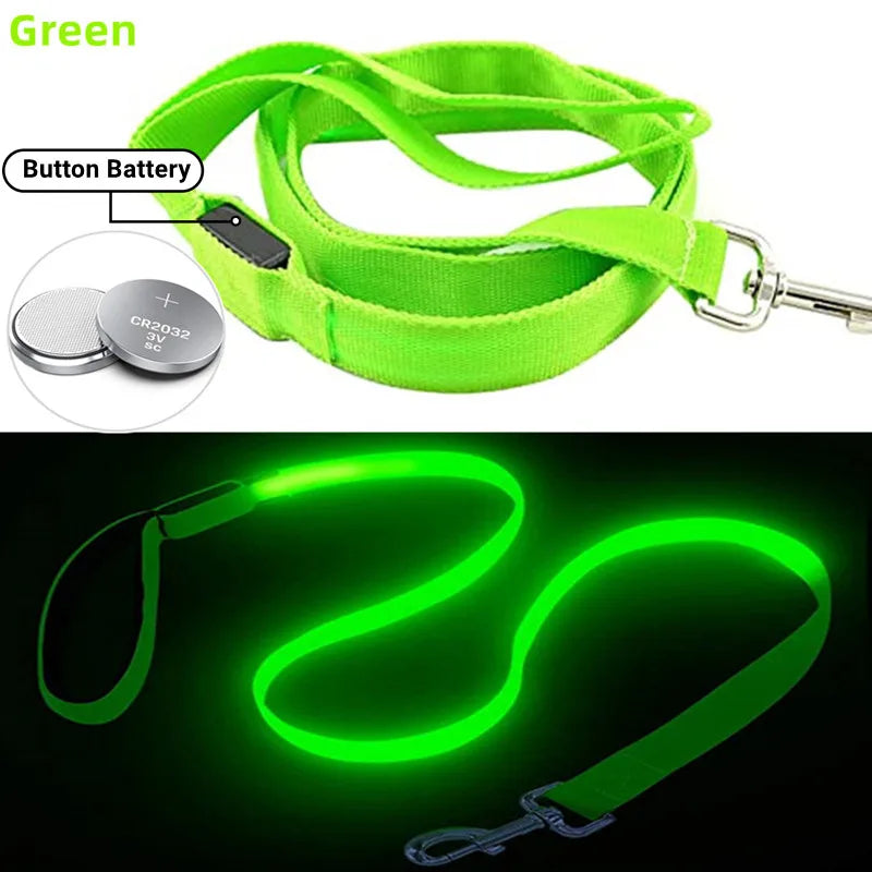 LED Guide for Night Tours