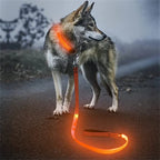LED Guide for Night Tours