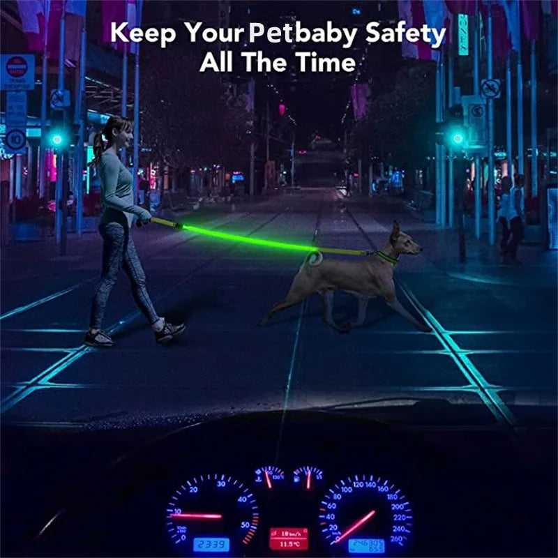 LED Guide for Night Tours