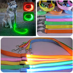 LED Guide for Night Tours