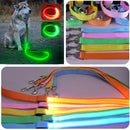 LED Guide for Night Tours