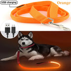 LED Guide for Night Tours
