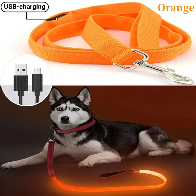 LED Guide for Night Tours