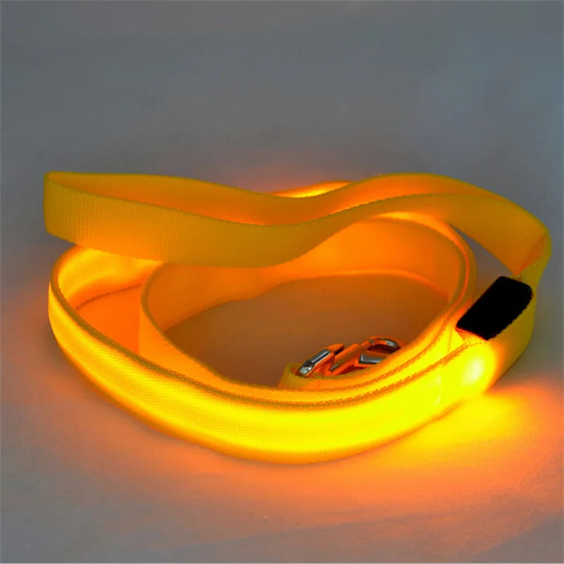 LED Guide for Night Tours