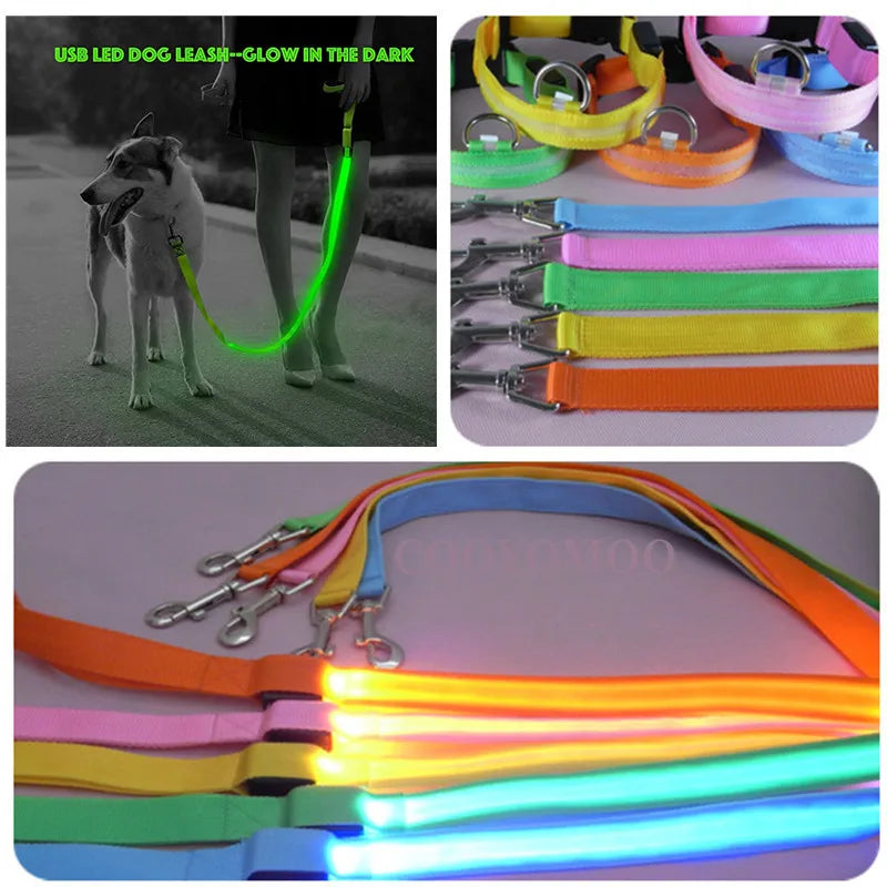 LED Guide for Night Tours