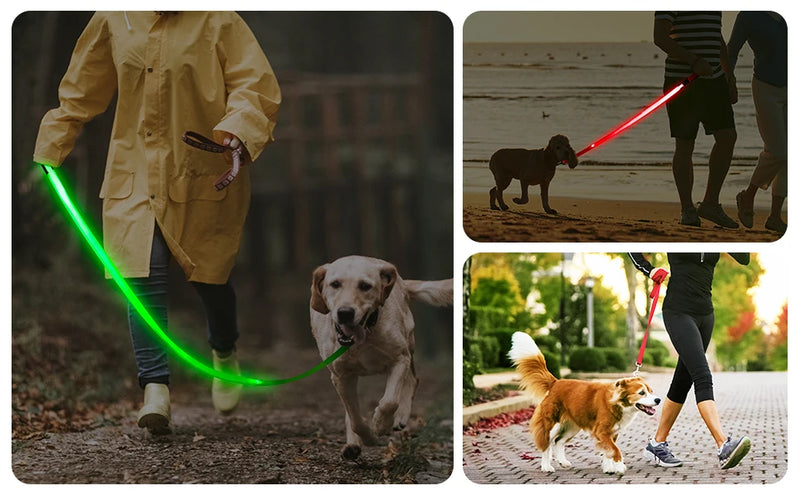 LED Guide for Night Tours