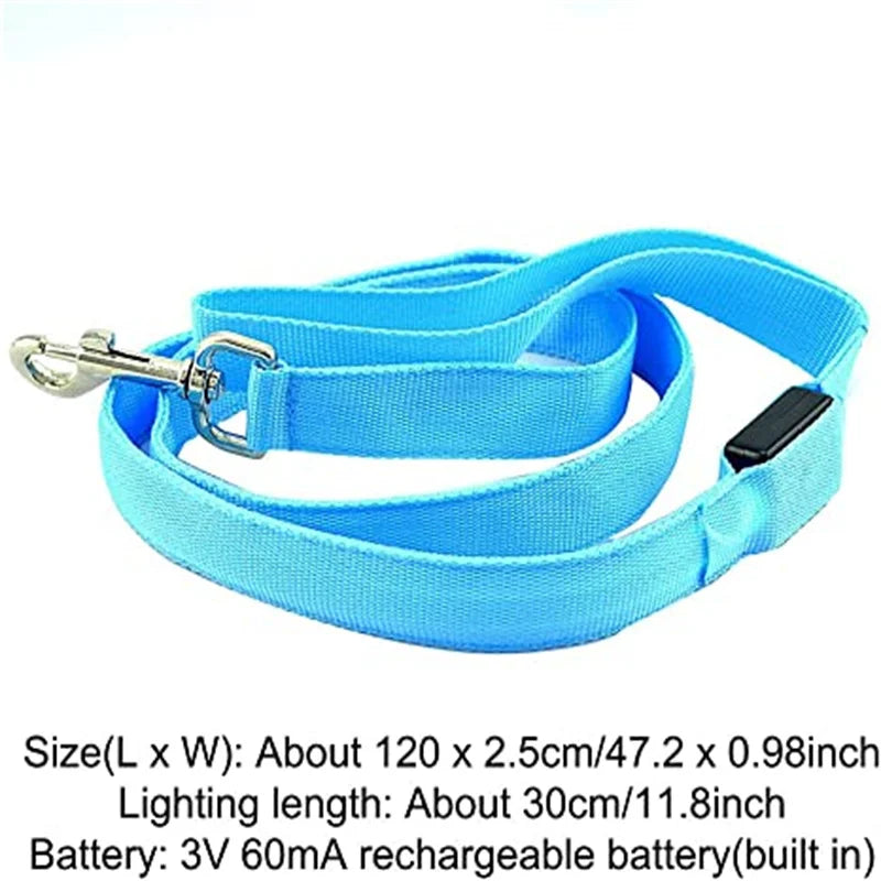 LED Guide for Night Tours