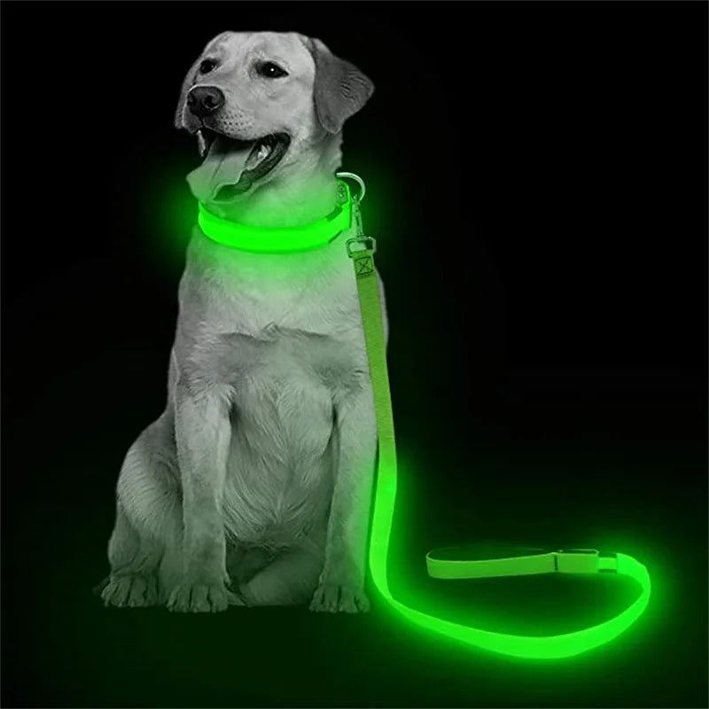 LED Guide for Night Tours