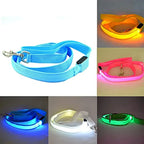 LED Guide for Night Tours