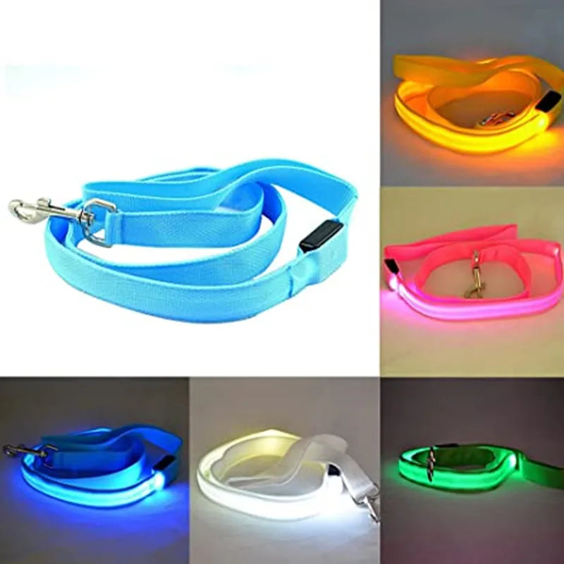 LED Guide for Night Tours