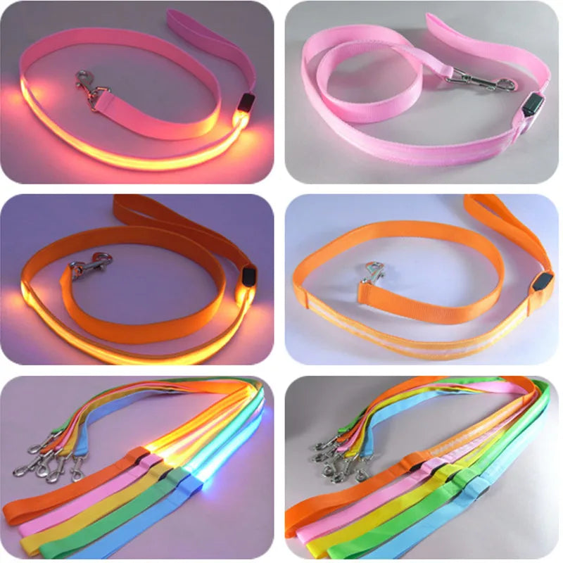 LED Guide for Night Tours