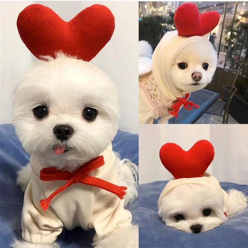 Cute Dog Clothes