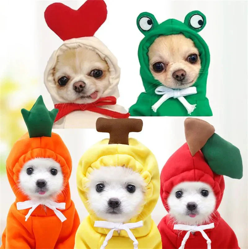 Cute Dog Clothes