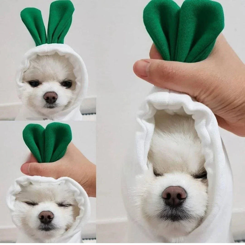 Cute Dog Clothes
