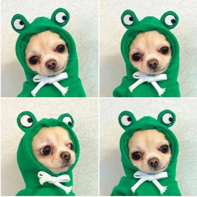 Cute Dog Clothes